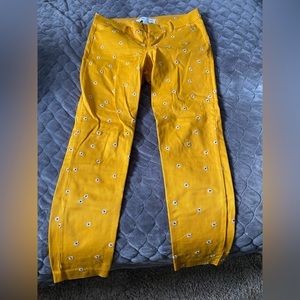 Sunflower pixie pants.